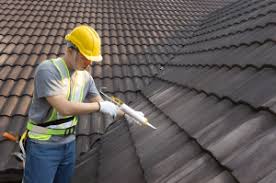 Best Sheet Metal Roofing  in San Ysidro, NM